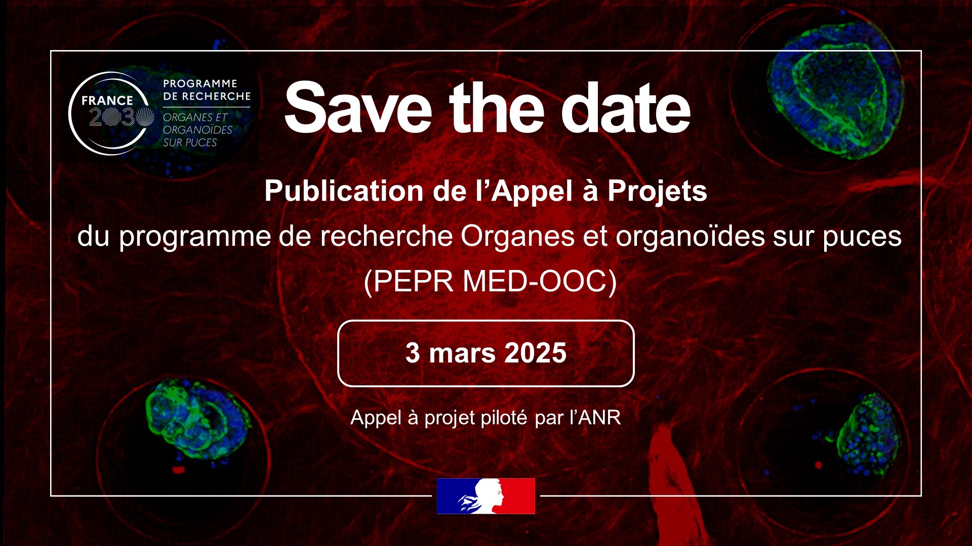  Appel à projets : SAVE THE DATE! 