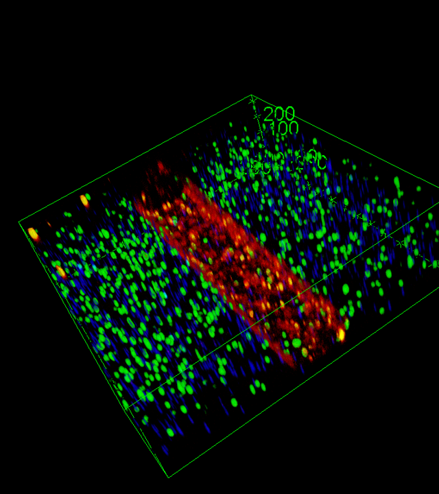  Technology for microenvironment engineering and imaging for organs-on-a-chip (EnVie) 